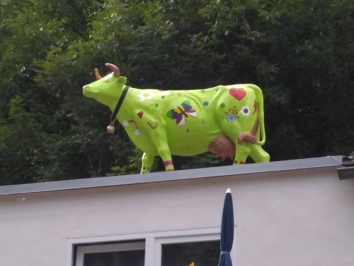 Pension Camping Schausten Cochem Esterno foto